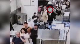 China: Man Caught Smuggling 104 Live Snakes through Futian Port to China