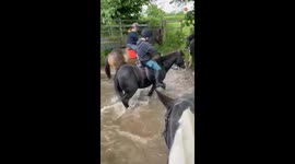 Rider panics as silly horse decides to take a bath during ride