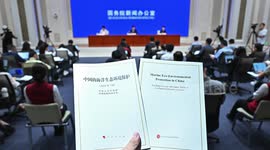 China issues white paper on marine eco-environmental protection