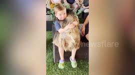 Animal-mad tot shares loving hug with a sloth