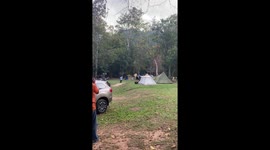 Wild elephant chases away terrified campers