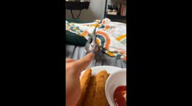Cockatiel cravings for a taste of chicken strips goes viral