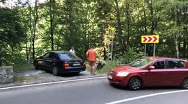 This is Why You Don't Feed Bears