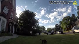 United States: Pandora the K-9 Hero Rescues Missing Woman in Johns Creek