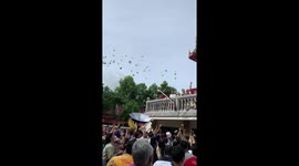 Buddhist monk throws money from temple to celebrate ordination