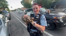Police catch boa constrictor snake on back seat of ride share car