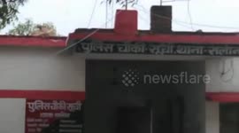 Detective Consta-bull! Escaped bovine climbs onto police station roof in India