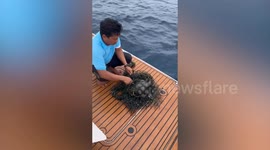 Fishermen rescue sea turtle stuck in net
