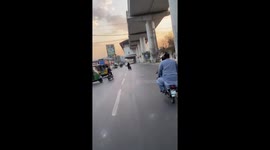 Motorbike chase: Lahore's runaway cow pursuit
