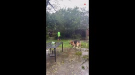 A glimpse of the destruction left in the wake of Hurricane Beryl