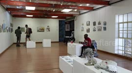 Namibian artists advocate wildlife conservation through art exhibition