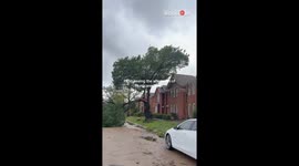 Woman and her dog witness the distressing aftermath of Hurricane Beryl