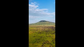 Wonderful Wildlife Migration In Kenya