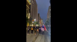 Montreal Police Chase Pro-Palestine Protesters After McGill University Encampment Takedown