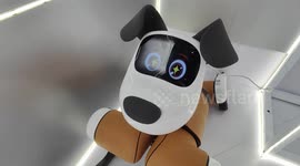 China: Alibaba Robot Dog at 2024 WAIC in Shanghai