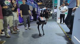 China: Two-legged Robot at 2024 WAIC in Shanghai