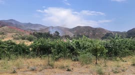 Temecula Brush Fire Causes Evacuations