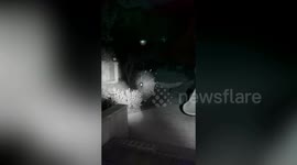 Woman discovers massive spider web in night-time shocker