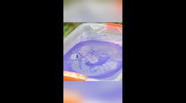 How to make Chinese lacquer fans