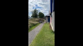 Peacock's antics unexpected encounter goes viral with over 6 million views