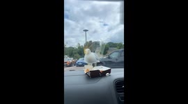 Huge Seagull/bird eats my lunch .......Fail!