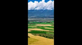 Summer harvest underway in China's Xinjiang