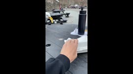 Cheeky seagull snatches child's food: a surprising encounter in Conwy
