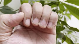 Closeup Detail of Asian Left and Right Hand Nails