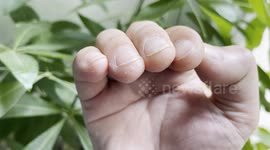 Detailed Closeup of Asian Nails on Both Hands