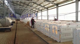 Iraqi party leader marvels at remarkable development in China's Xinjiang