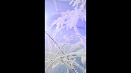 Explore rime ice beauty indoors in China's Jilin