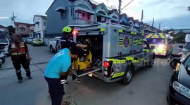 Cat stuck on metal railings rescued by firemen