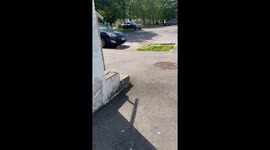 Rat Turns The Tables On Cat