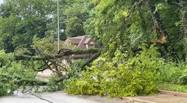 Tree Down Dixie Highway, Dayton, Oh Montgomery County