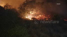 USA: Firefighters Battle 2 Acre Brush Fire Near LA Zoo in Griffith Park