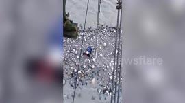 Firefighters rescue stranded dog from raging river in northern India