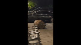 Bear in Gatlinburg feeds from garbage can