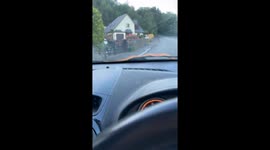 Caerphilly woman discovers corn snake on car; partner adopts it