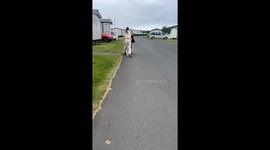 Holiday park slip leads to laughter: video shows unexpected pram mishap