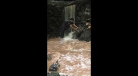 Dog saved from raging river in Tamanique, El Salvador