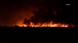 USA: Brush Fire Burns Over 2800 Acres Shuts Down 5 Freeway