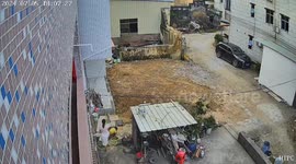 Chinese dog heroically rescues child from venomous snake