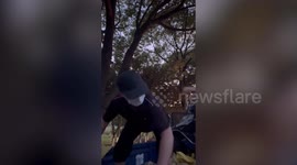 Brave volunteer fights off cat thieves and saves entire truckload of cats