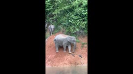 Mother elephant and her baby tip toe together along steep river bank