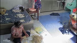 Aggressive monitor lizard charges into room as grandmother sews