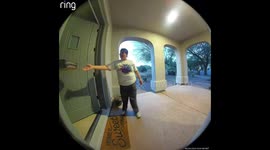 Pizza Delivery Person Returns Dog