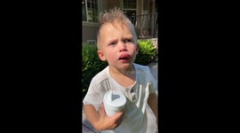 Toddler's bee sting adventure captivates Instagram with humor and bravery