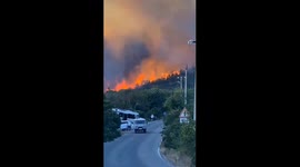 Massive forest fire engulfs Novorossiysk area