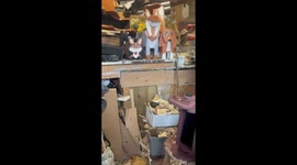 Funny DIY Animal Planters