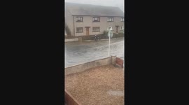Fishing in a Flooded Road